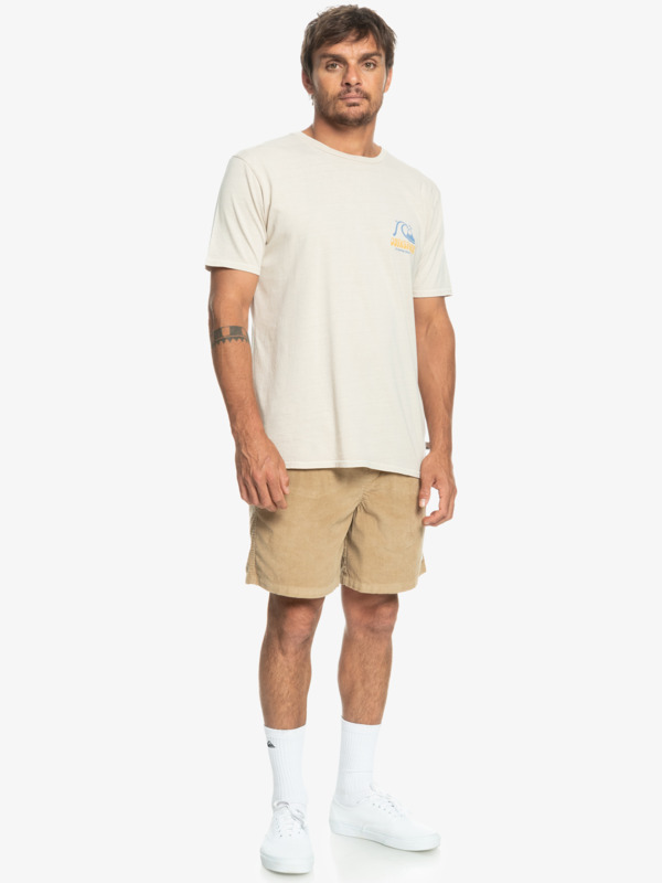 Taxer Corduroy 18.5" Shorts