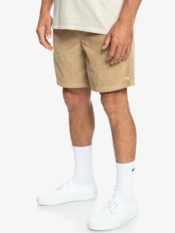 Taxer Corduroy 18.5" Shorts