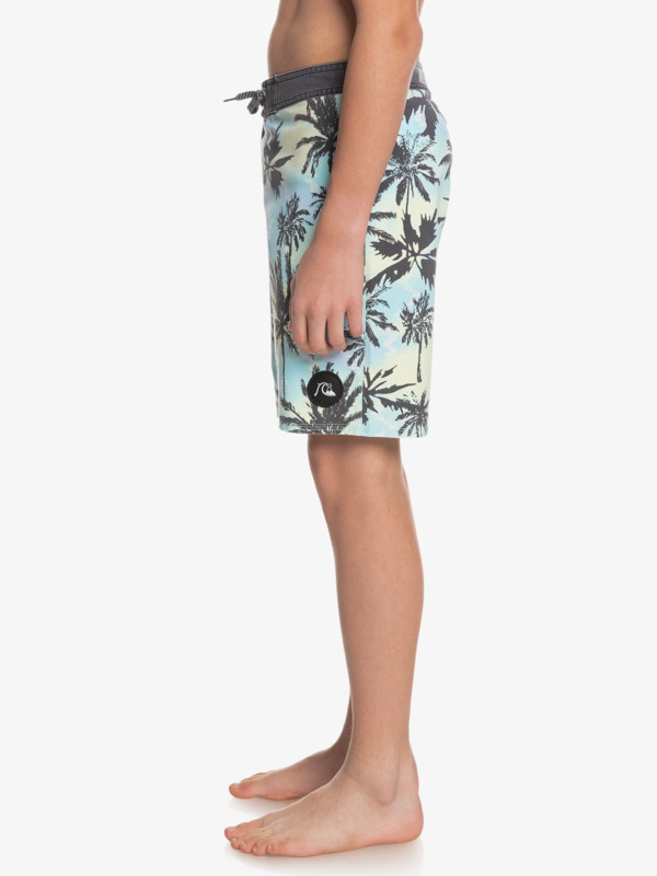 Boy's 8-16 SurfSilk Washed 17" Boardshorts