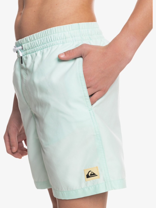 Boy's 8-16 Everyday 15" Volleys