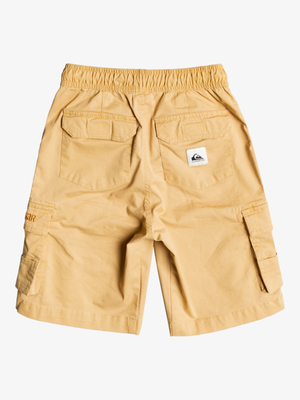Boy's 8-16 Cargo To Surf Shorts
