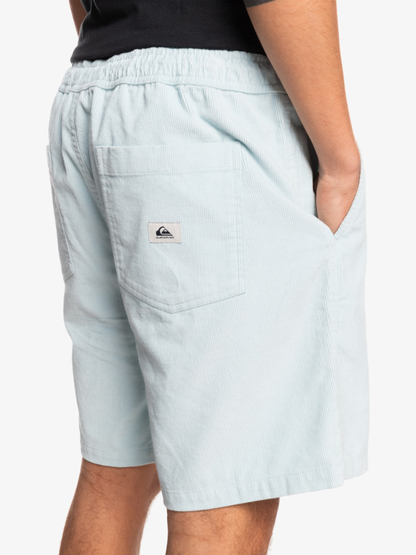 Taxer Corduroy 18.5" Shorts