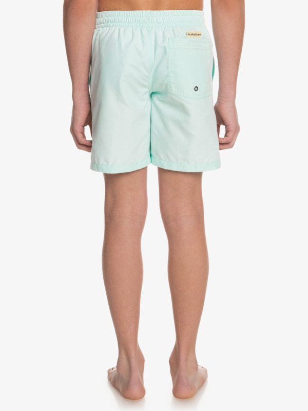 Boy's 8-16 Everyday 15" Volleys