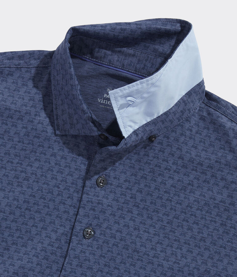 Palmero Polo