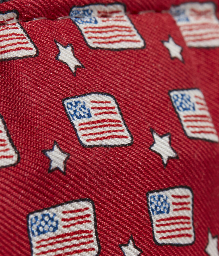 Flags & Stars Wine Tote