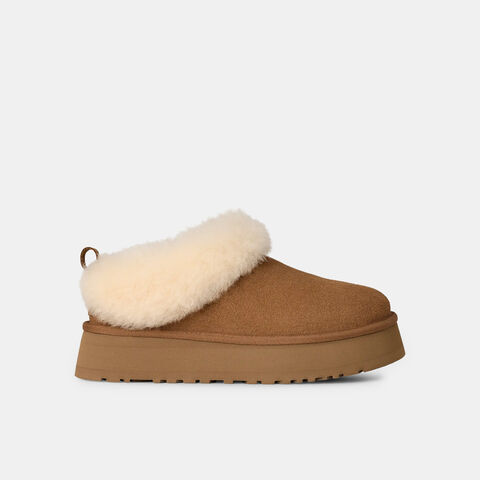 Woman's cats ugg bullelle