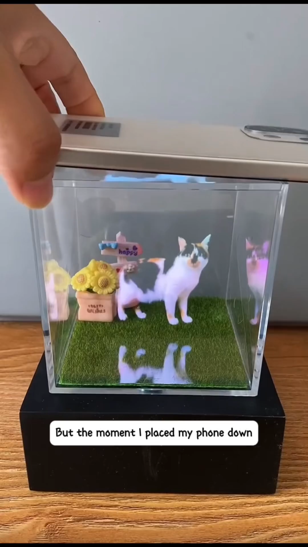 Cube 3D Crystal Photo Personalized with Light Custom Cute Pet Memorial Picture Frame Loss of Dog Sympathy Gift for Women Men