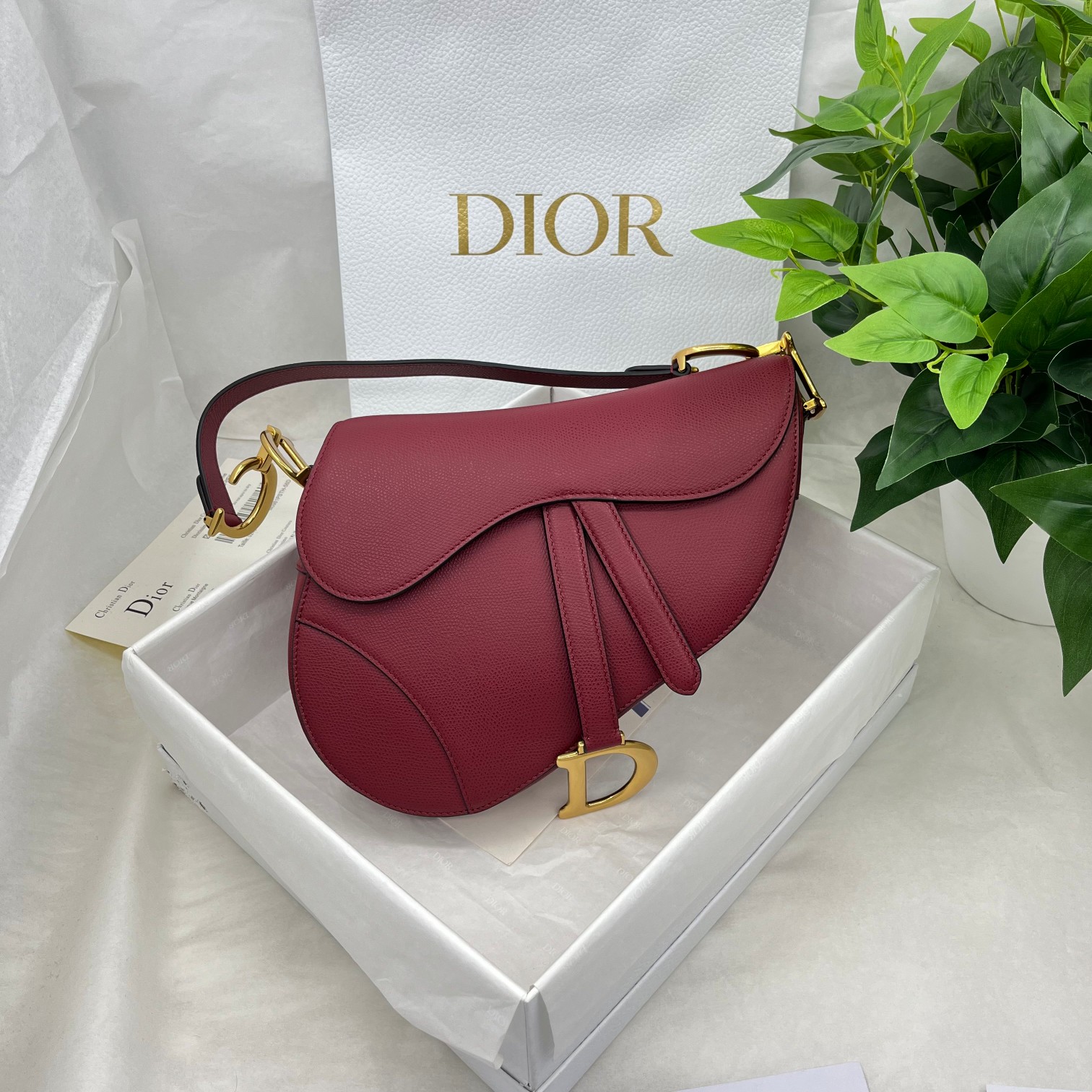 Dior saddle palm print collection