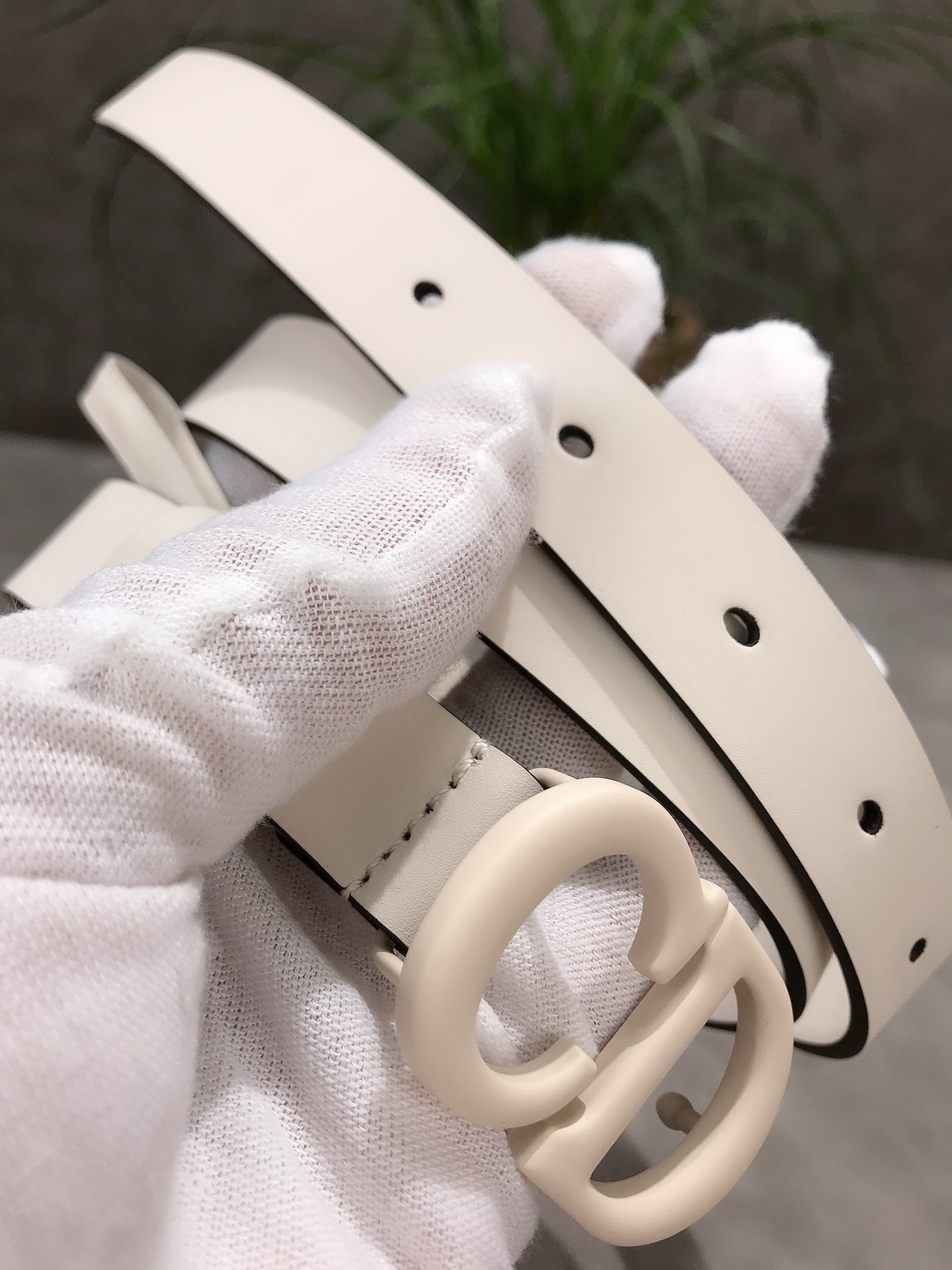 DIOR 2020 latest elements #Maccarone series