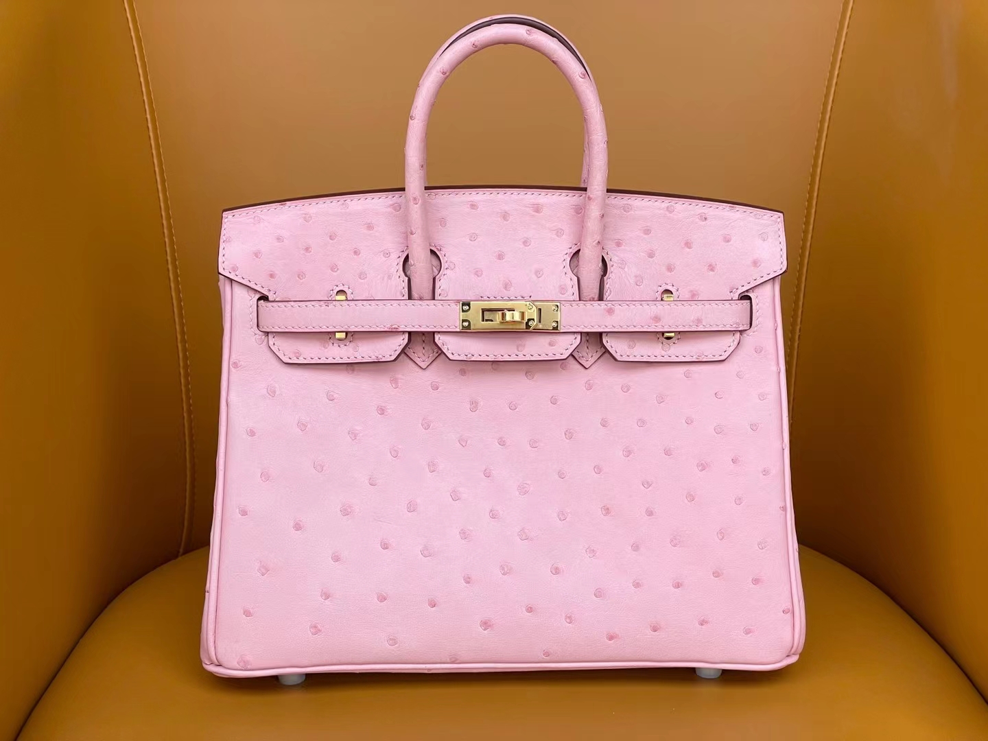 bk25 Sakura powder South Africa kk counter ostrich skin