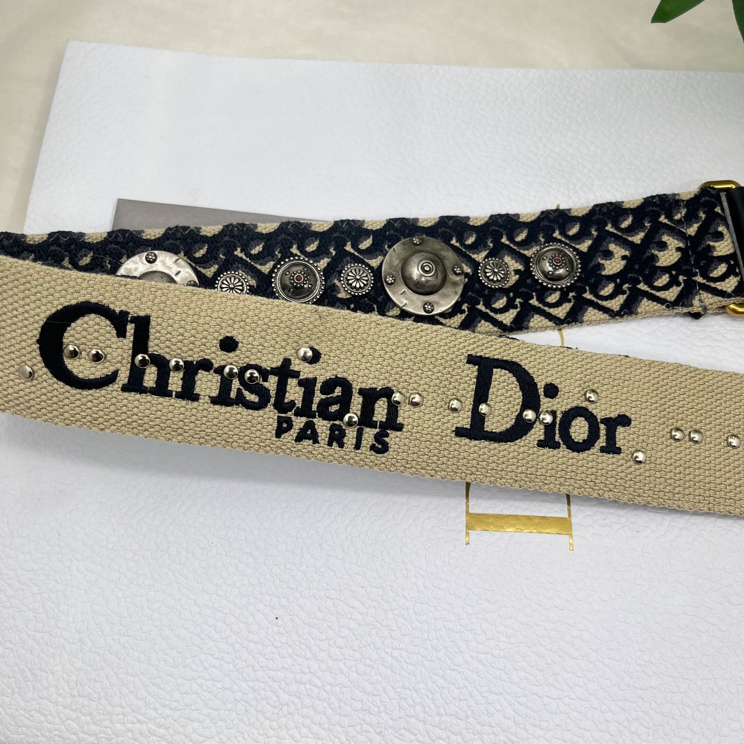 Dior Roman straps