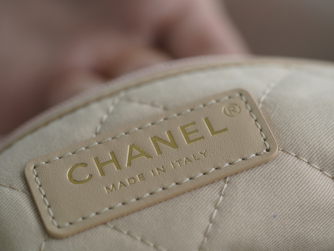 𝗖𝗛𝗔𝗘𝗡𝗟✦ 𝟐𝟐𝗣Spring/Summer New 𝟐𝟐Handbag Genuine Tail Leather Medium Platinum