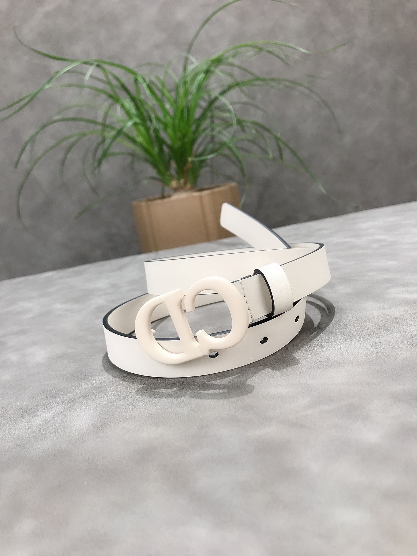 DIOR 2020 latest elements #Maccarone series