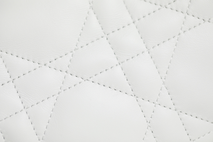 DIOR VIBE small dumpling bag