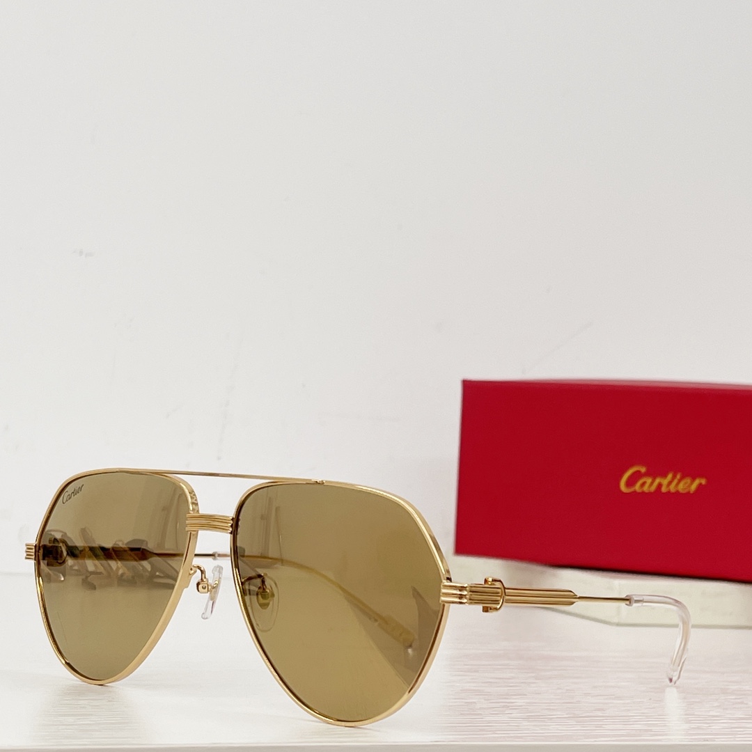 Cartier✨✨✨MODEL：CT0303S
