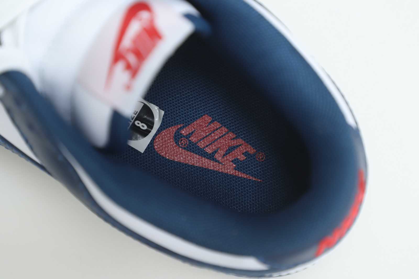 Nike Dunk Low Retro Valerian Blue