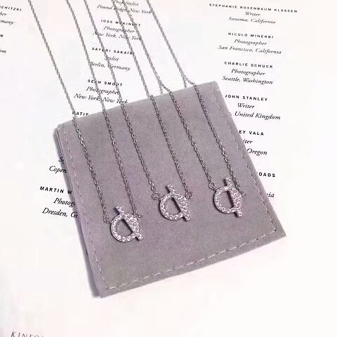 Hermes necklace
