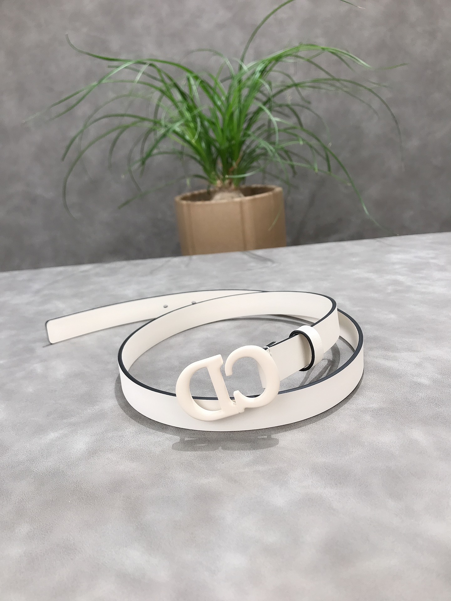 DIOR 2020 latest elements #Maccarone series