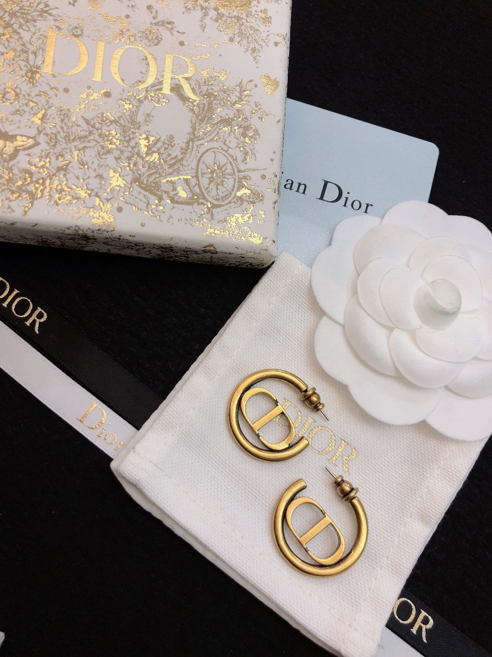 Dior earrings