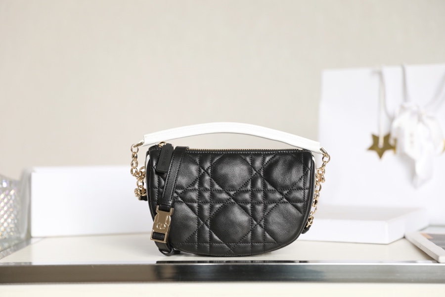 DIOR VIBE small dumpling bag