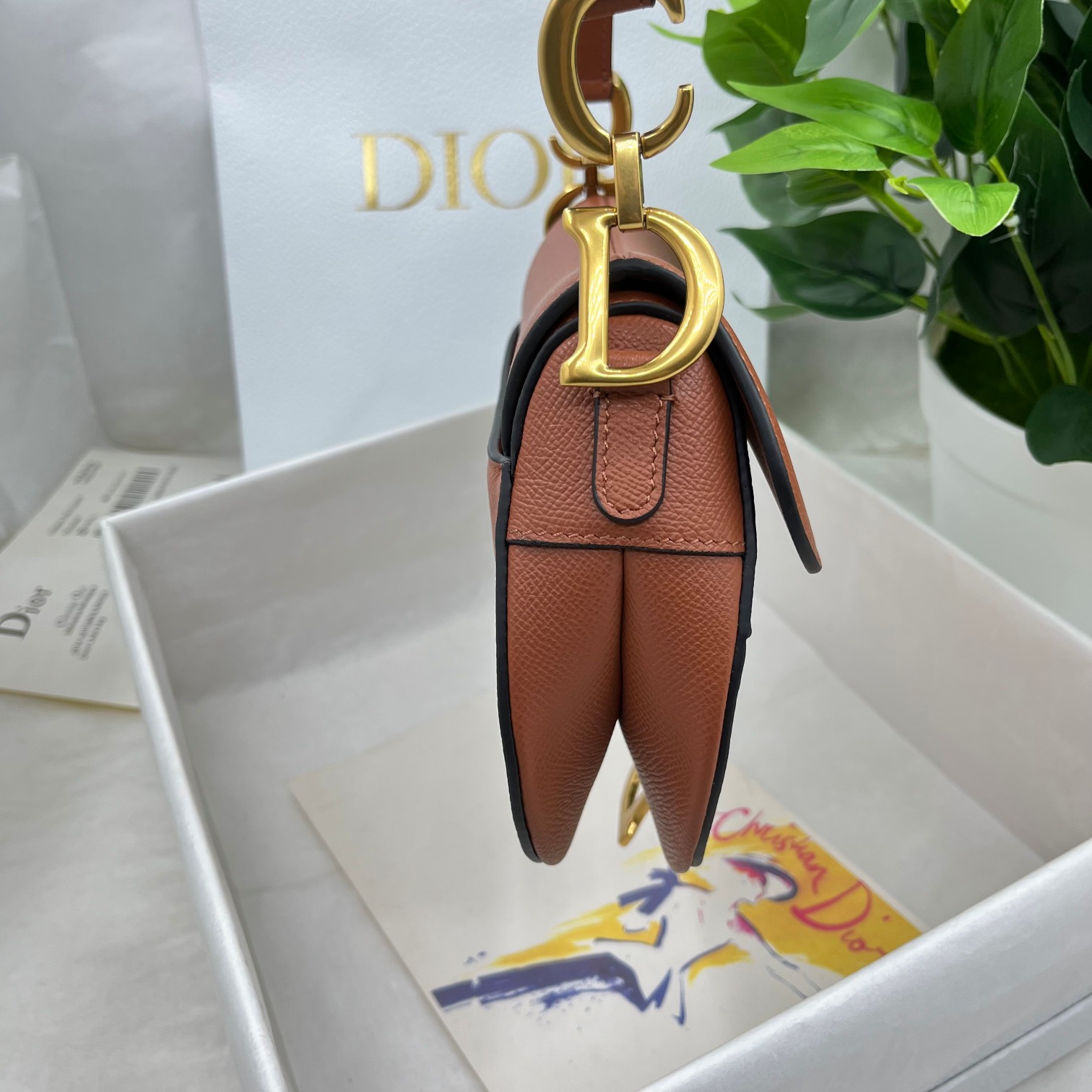 Dior saddle palm print collection