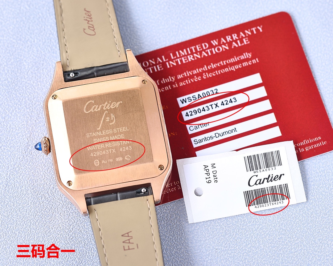 Cartier Santos-Dumont watch