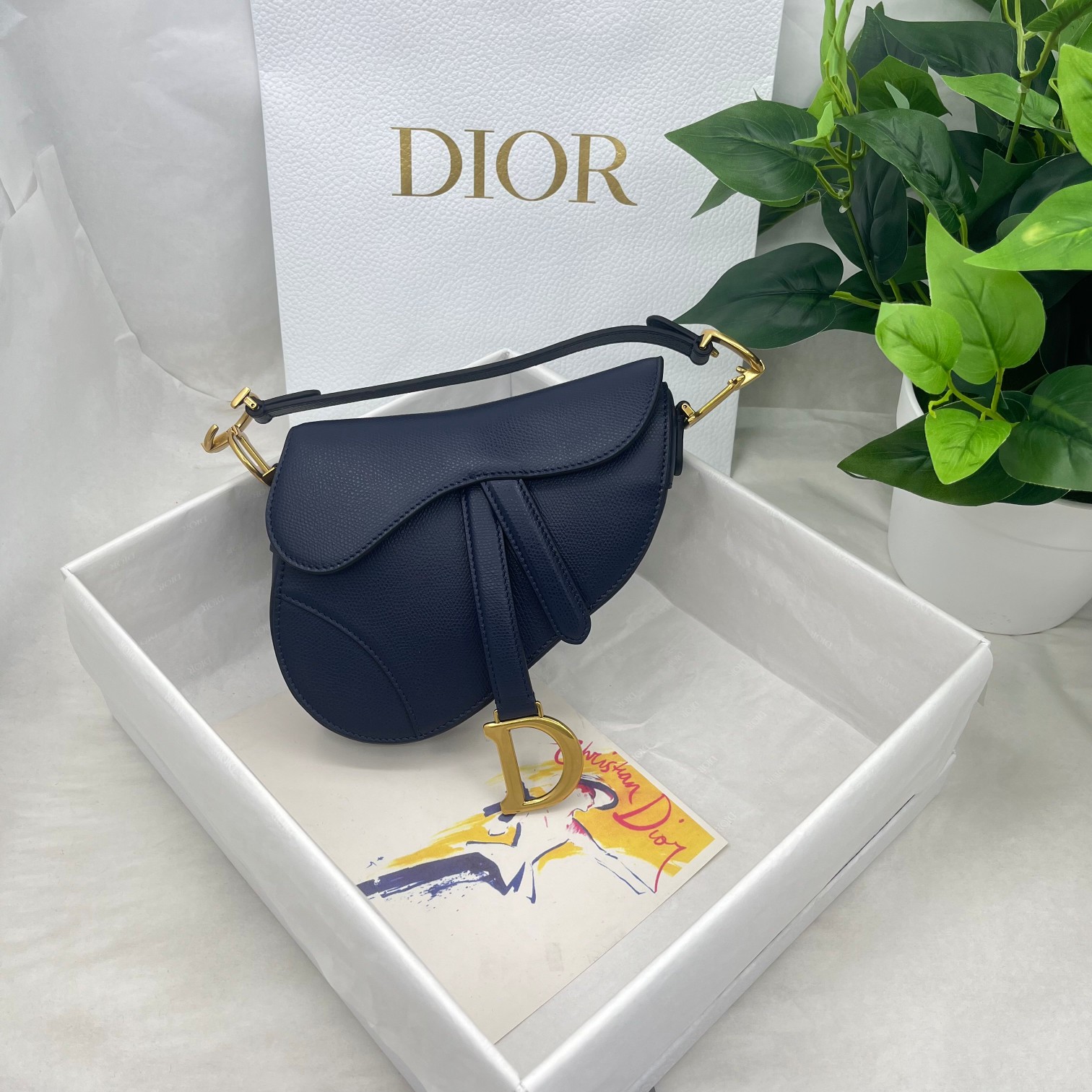 Dior saddle palm print collection