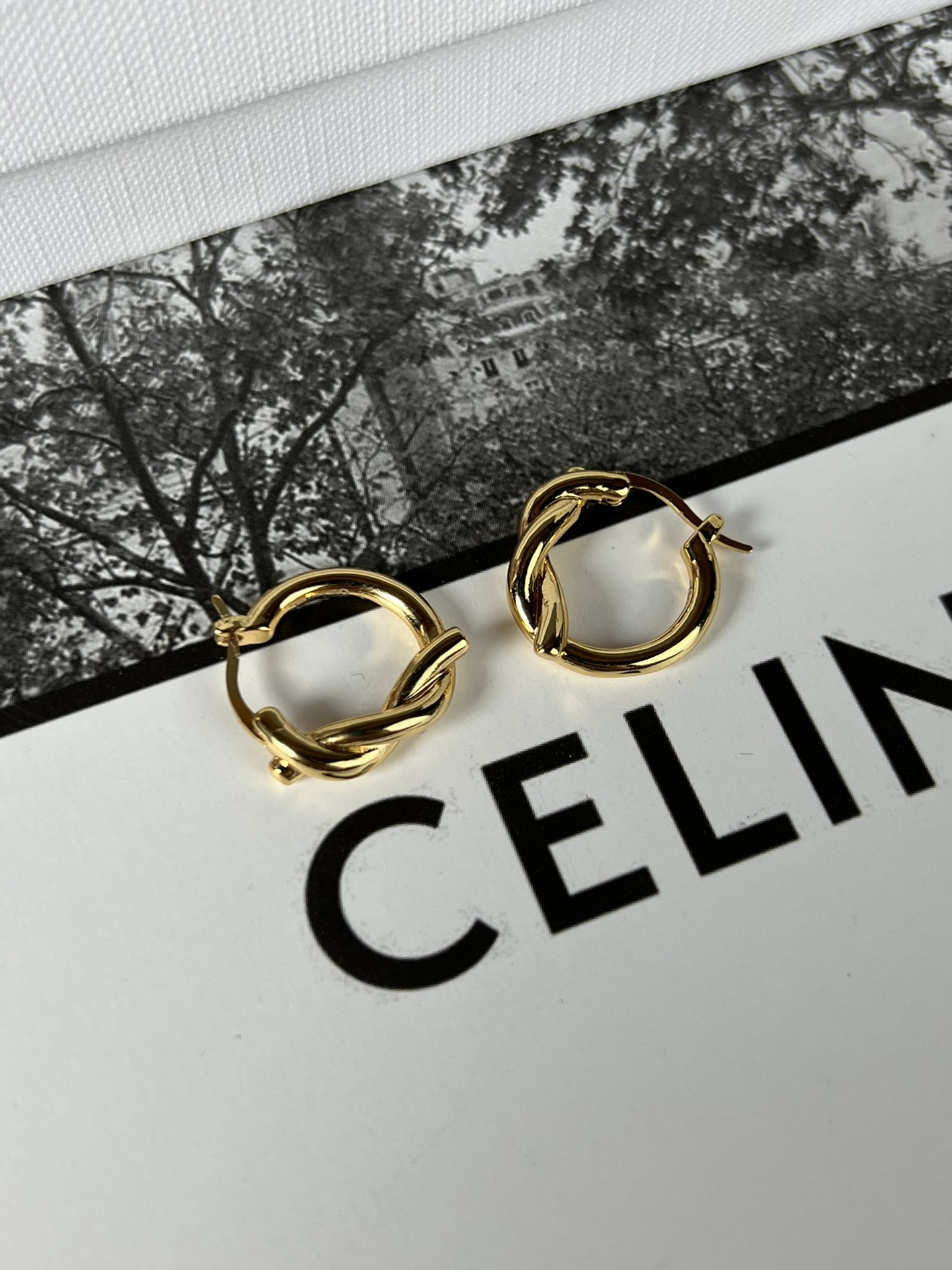 Celine Earrings