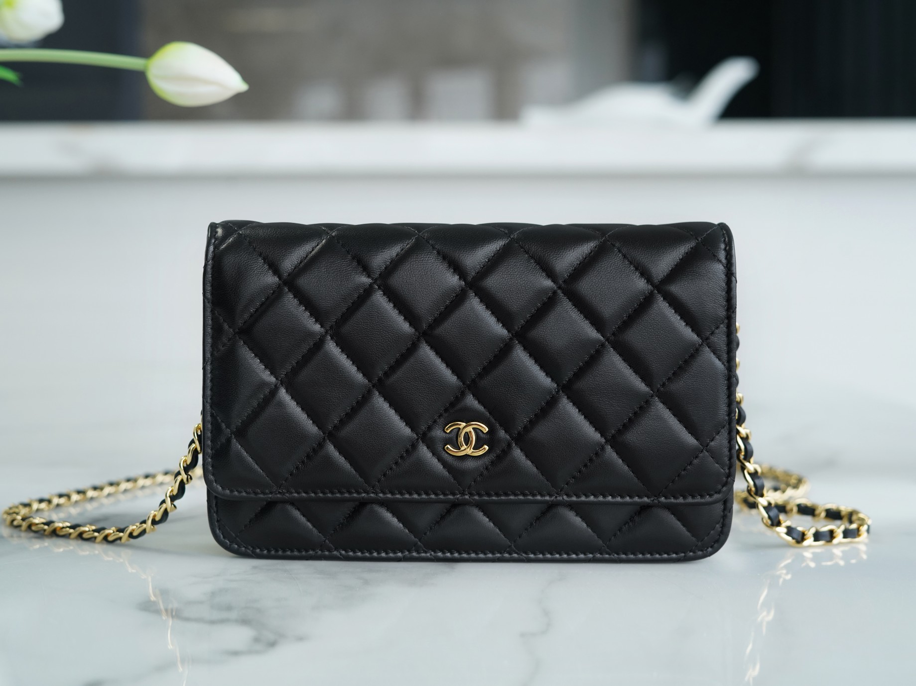 CHANEL 𝑾𝒐𝒄 Fat Choi Bag Entry Classic 𝑾𝒐𝒄𝒄 (Magnetic Closure) Black Sheep Gold🐑
