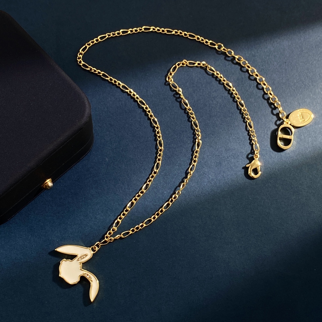Dior necklace