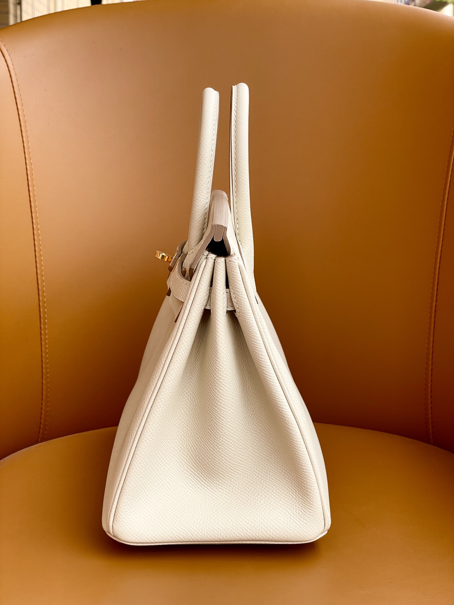 Birkin 25/30 Shake White togo Rose Gold buckle