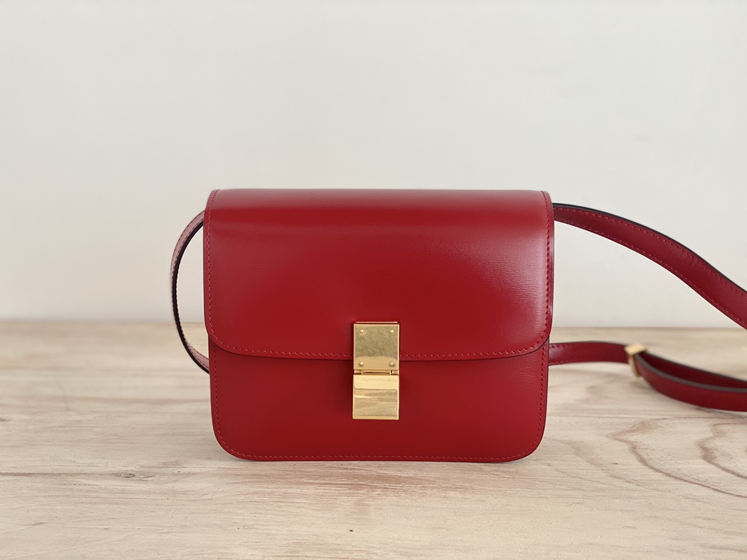 𝐂𝐞𝐥𝐢𝐧𝐞 Box Teen bag in polished calfskin