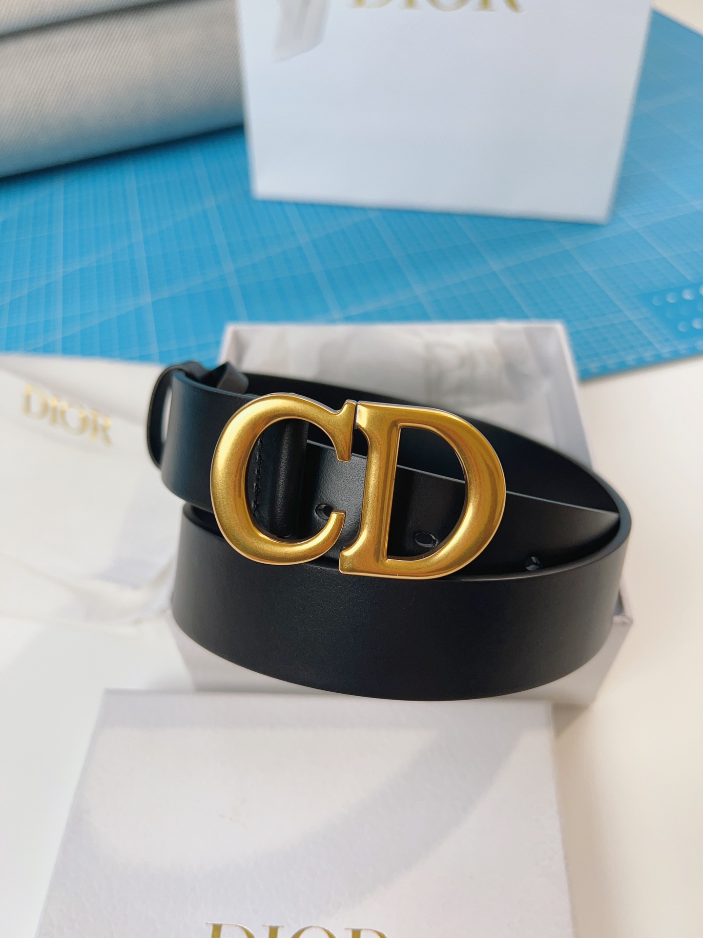 DIOR belt
