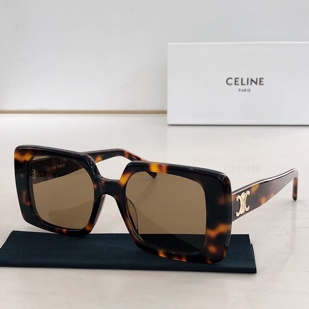CELINE🌟🌟🌟MODEL:CL50121F