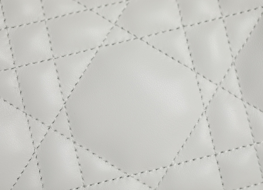 DIOR VIBE Medium Dumpling Bag