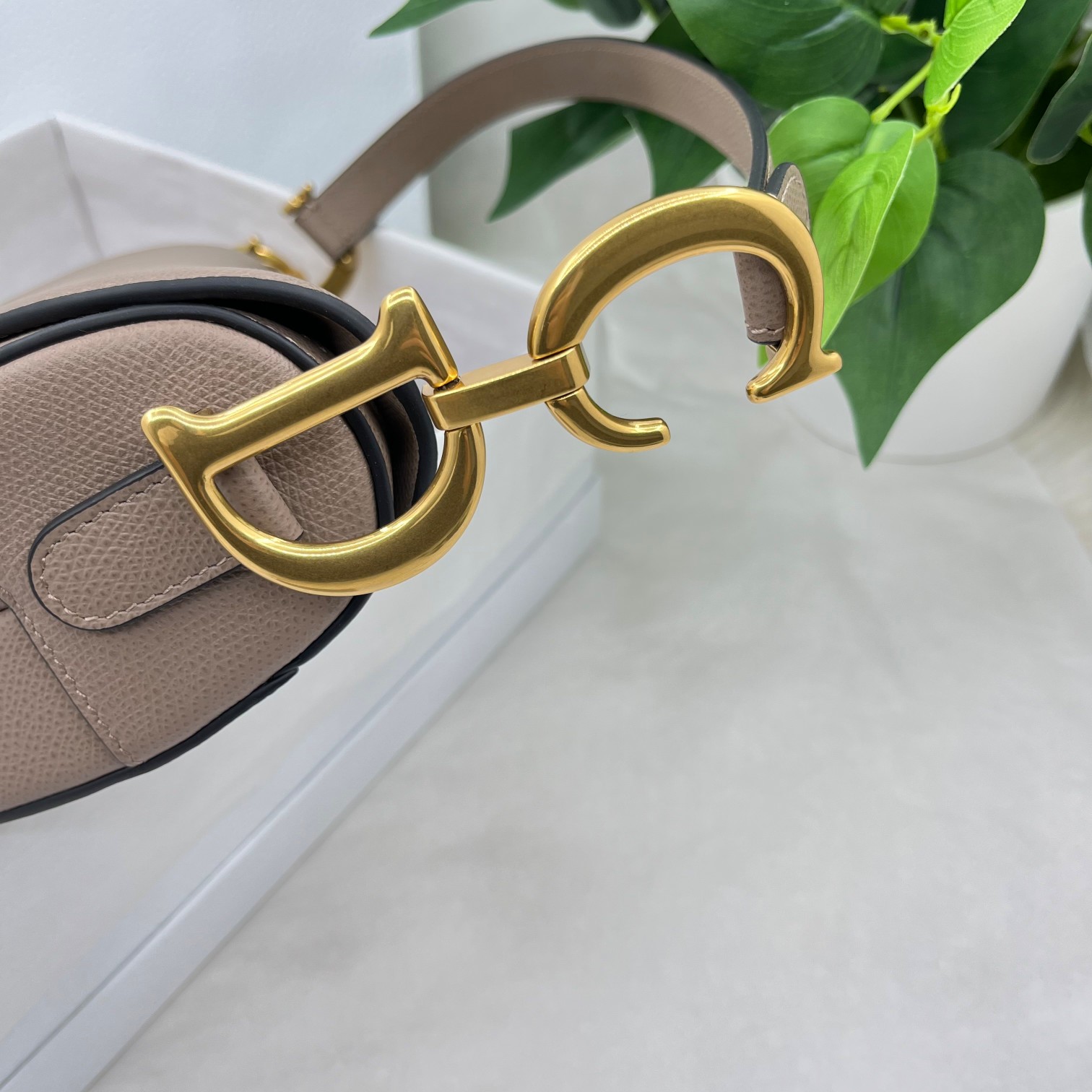 Dior saddle palm print collection