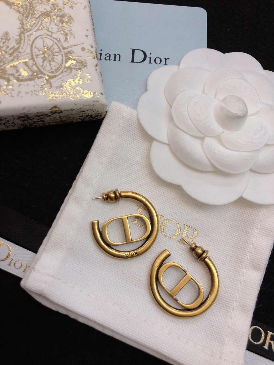 Dior earrings