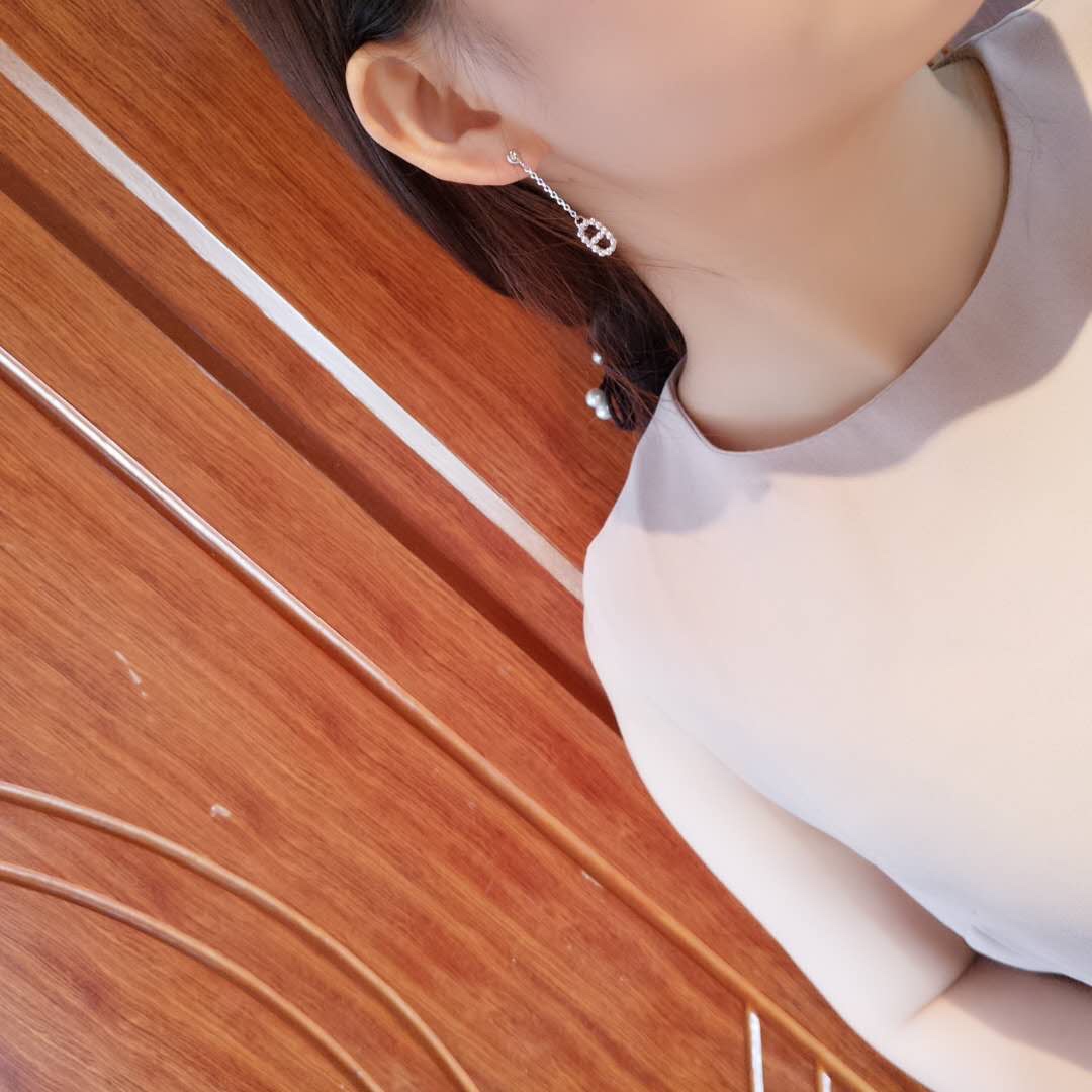Hermes Earrings