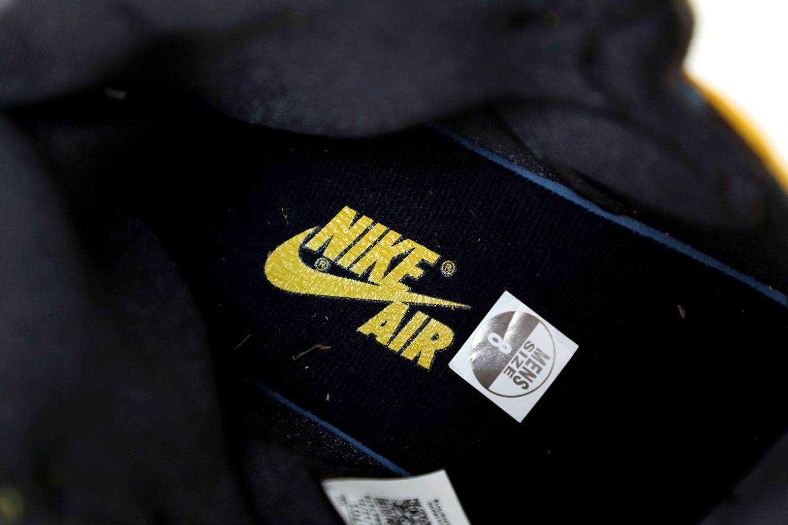 AIR JORDAN 1 HIGH RETRO OG POLLEN