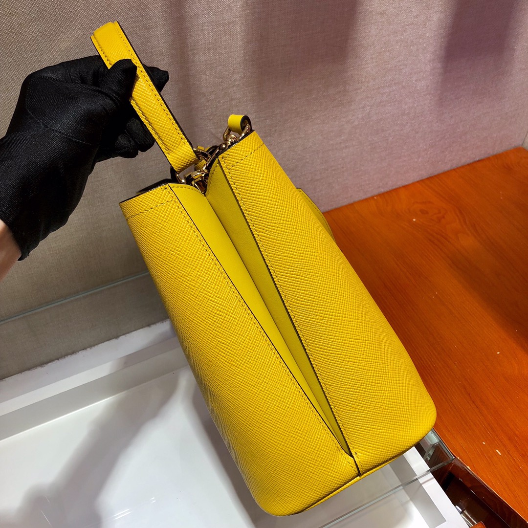 𝐏𝐑𝐀𝐃𝐀 Double handbag 1BA212