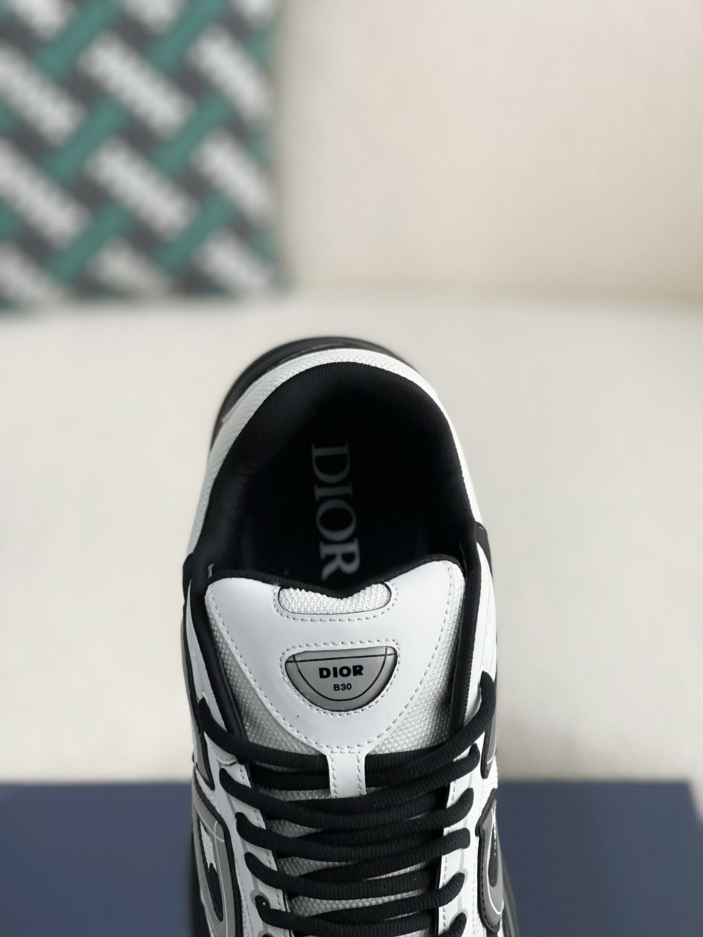 Dior B30 New Sneaker