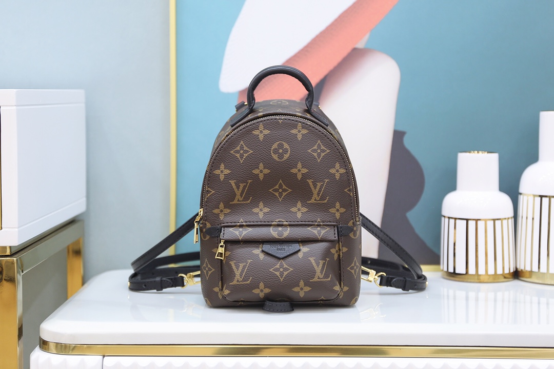 Louis Vuitton 𝐏𝐀𝐋𝐌 𝐒𝐏𝐑𝐈𝐍𝐆𝐒mini backpack🎒M44873