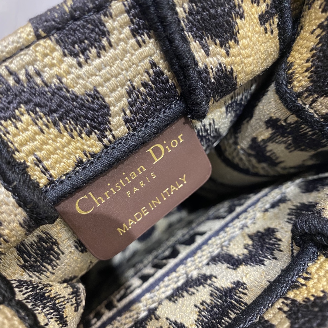 Dior Tote latest vertical version mini