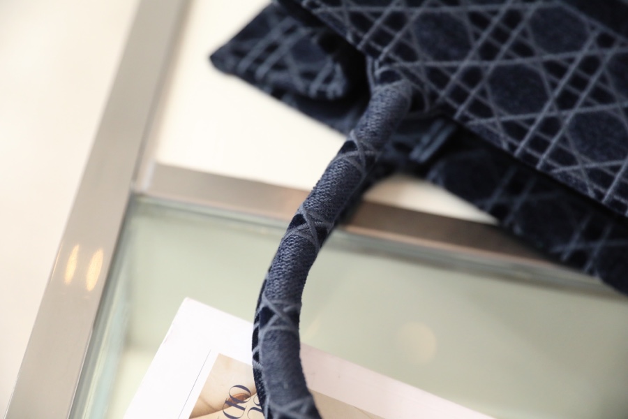 DIOR TOTE embroidered vine check blue
