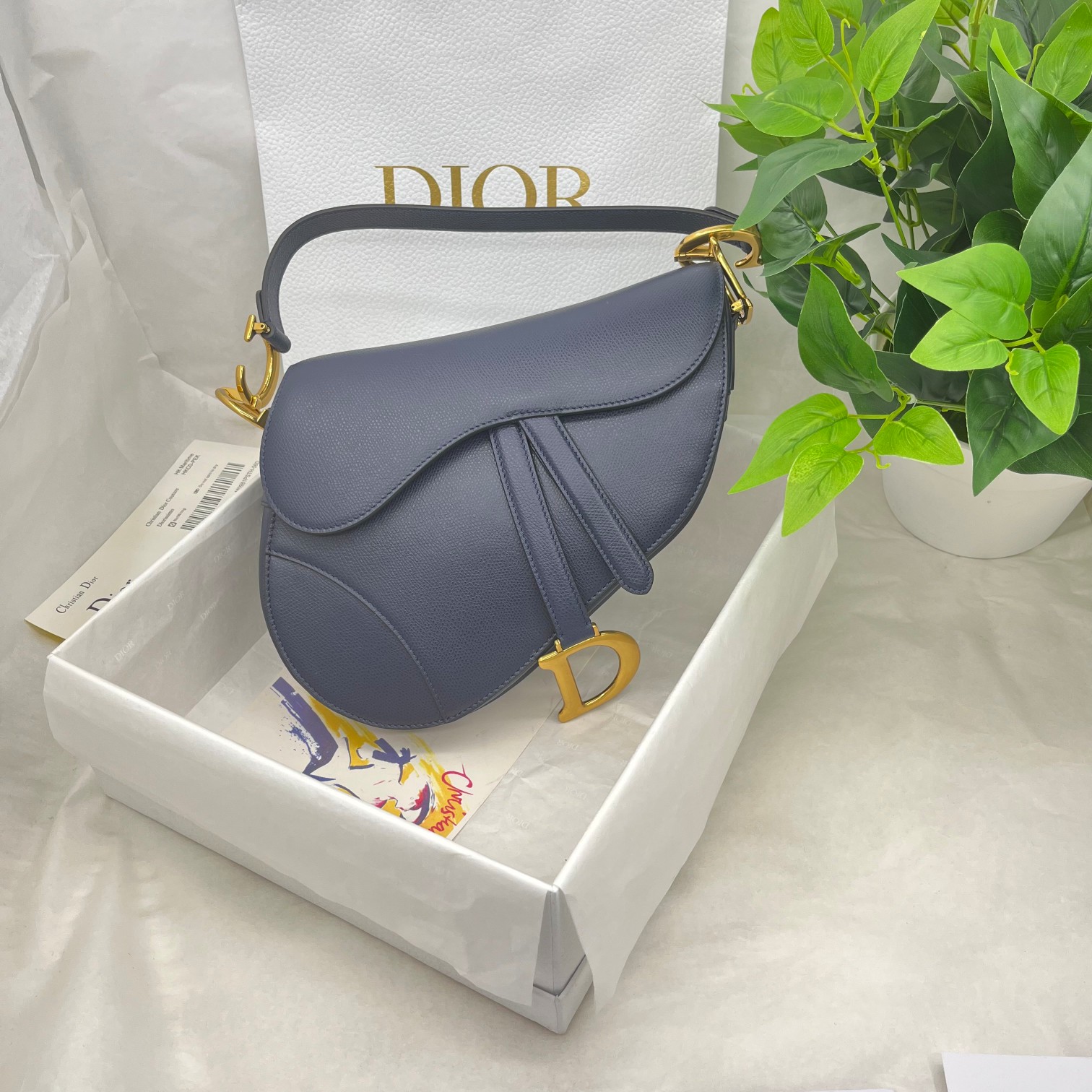 Dior saddle palm print collection