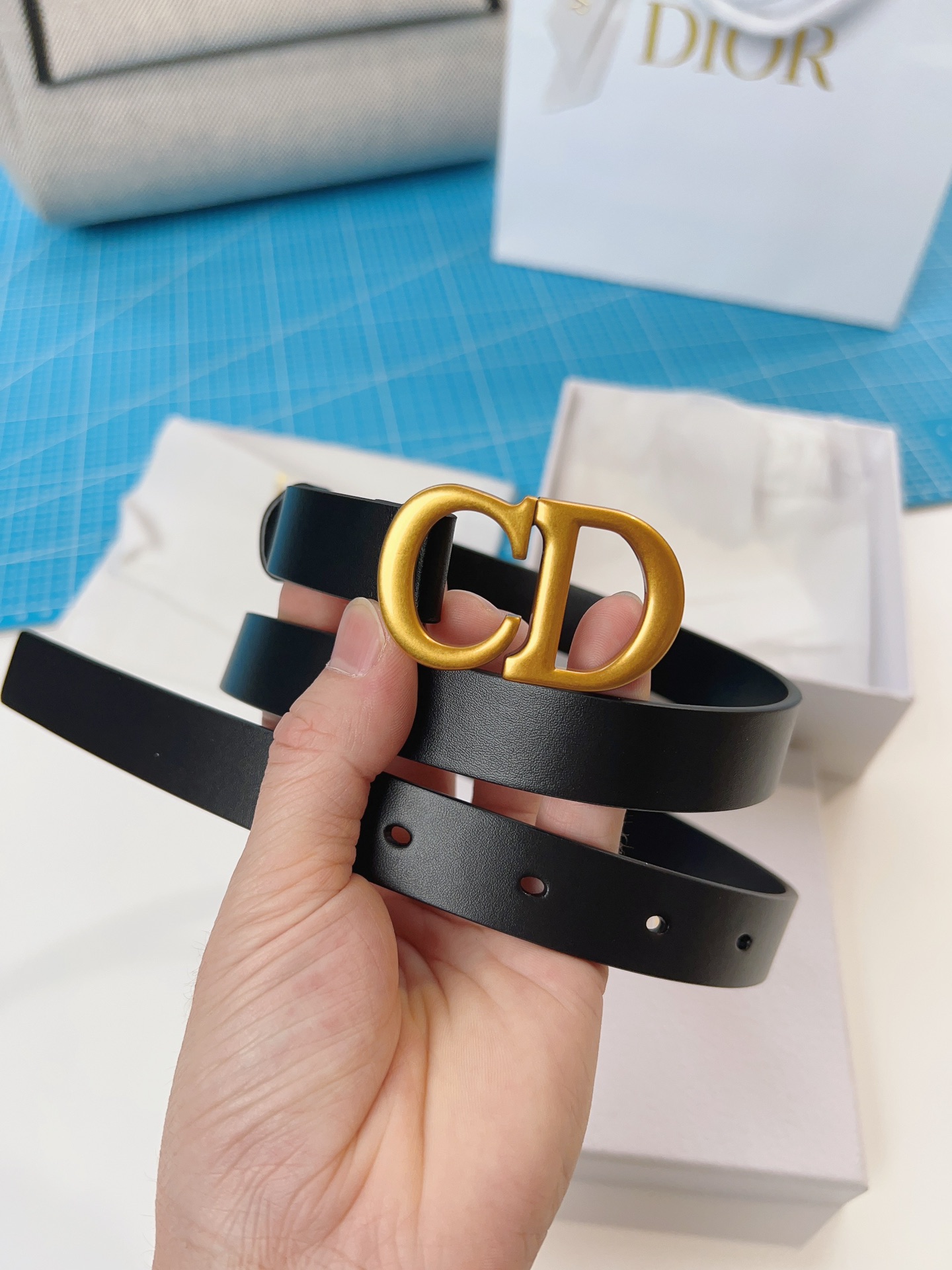 DIOR belt