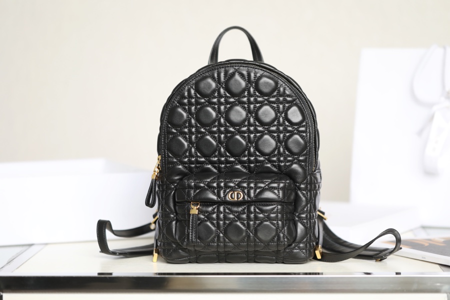 DIOR BACKPACK small size shoulder bag DR-89