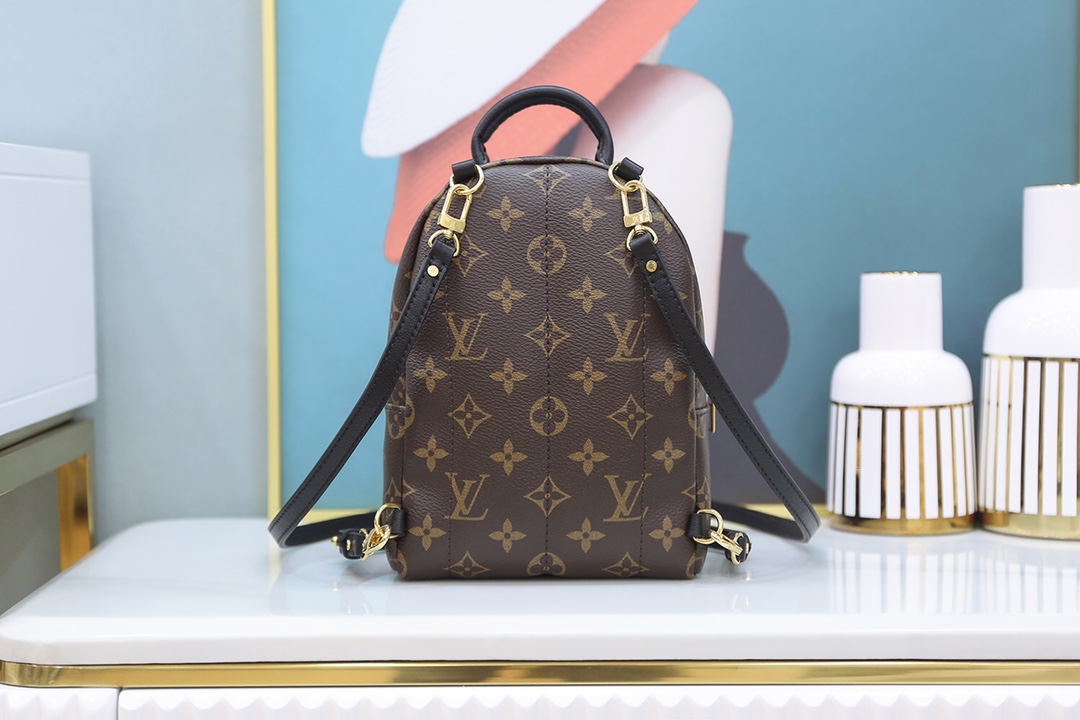 Louis Vuitton 𝐏𝐀𝐋𝐌 𝐒𝐏𝐑𝐈𝐍𝐆𝐒mini backpack🎒M44873