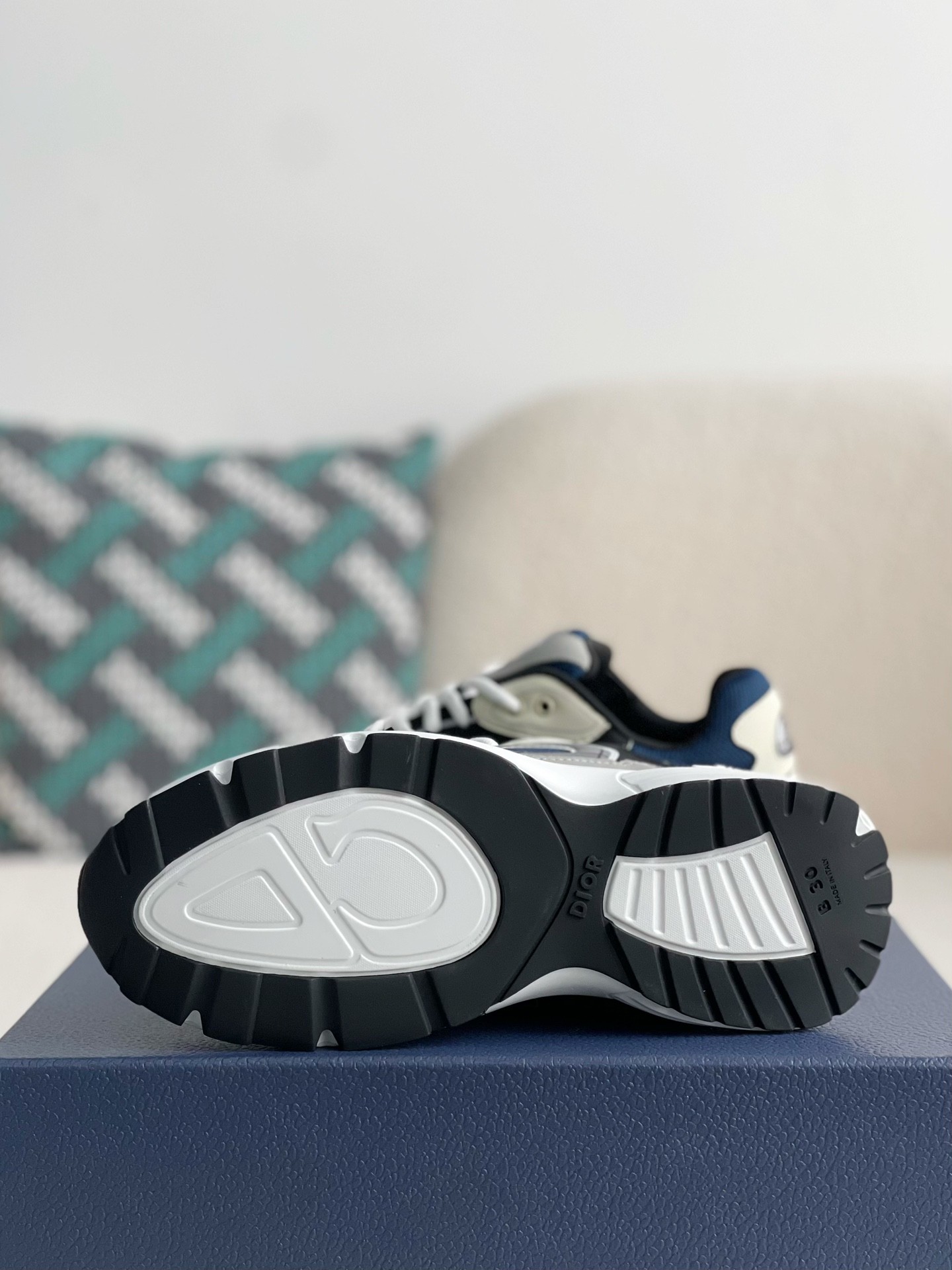 Dior B30 New Sneaker