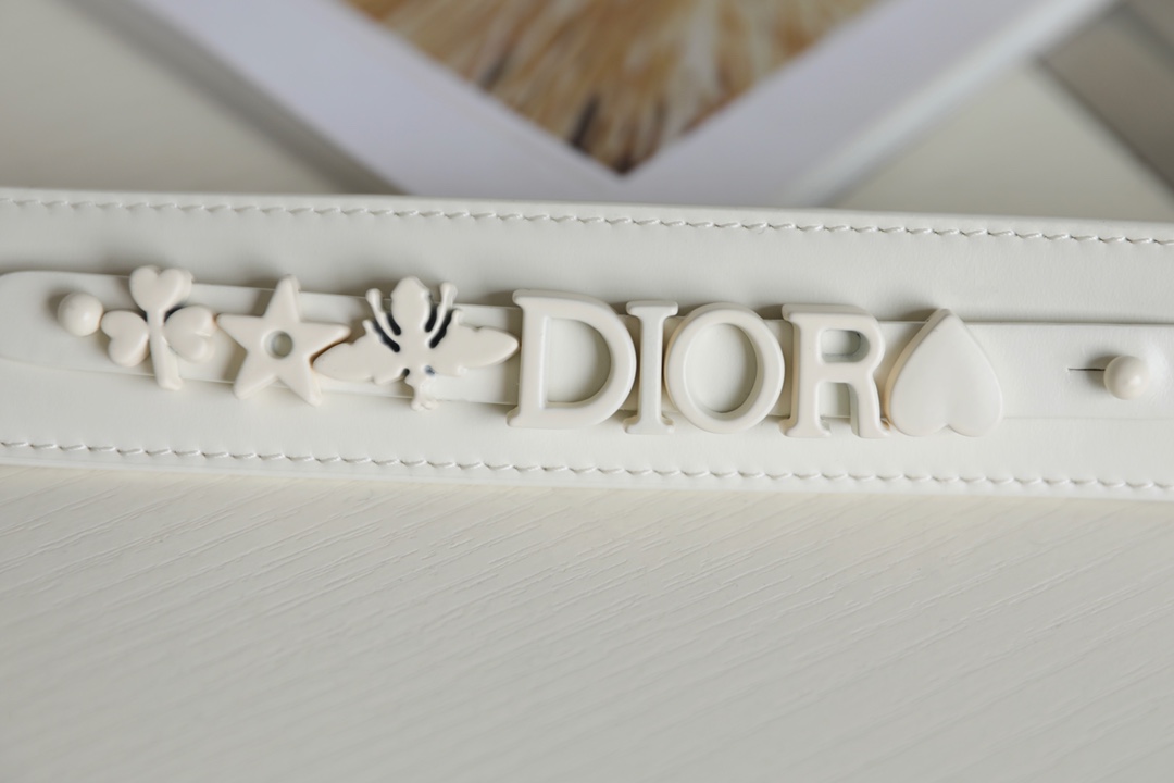 LADY DIOR diamond vine check four compartments DR-091